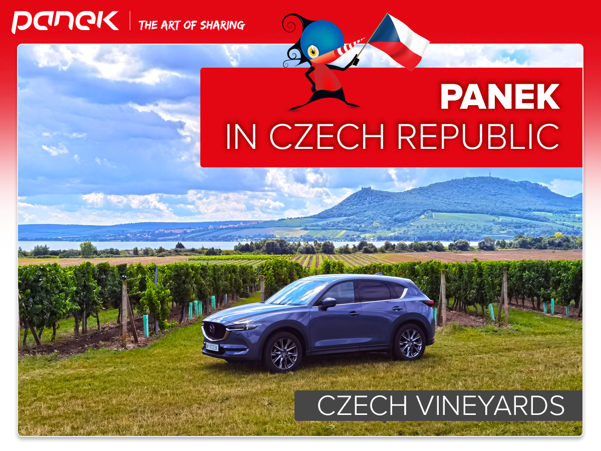 czech vineyards rent car